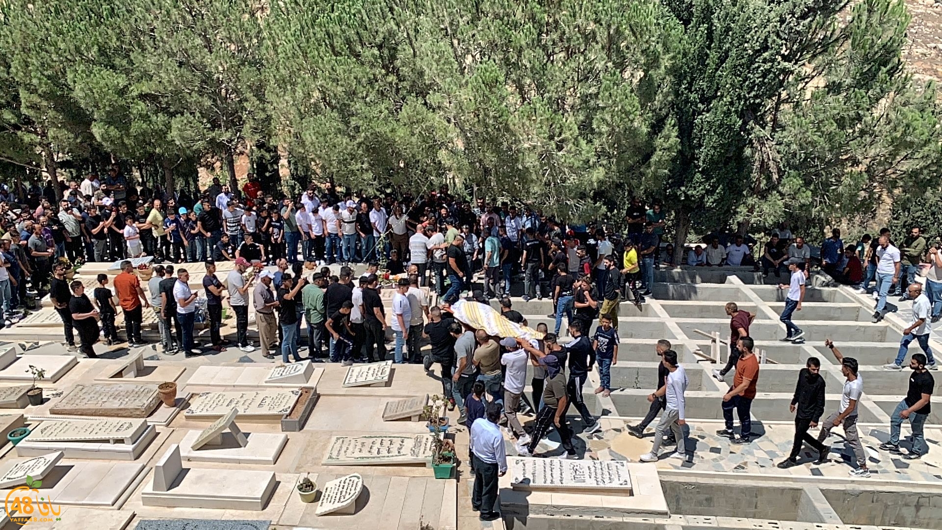 WhatsApp Image 2023-07-12 at 7.13.01 PM.jpeg